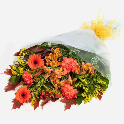 Autumn Gift - A clever creation combining only the finest and vibrant autumnal-shaded flowers. Send flowers that are perfect for the season with our Autumn Gift. 
